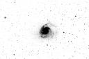Peter M101-Mascara low res.jpg